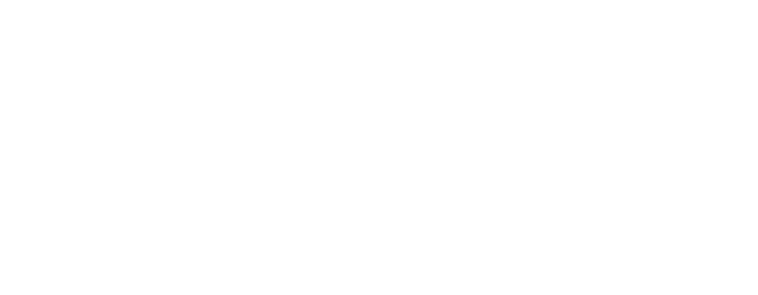 Logo of Applied Ion Systems